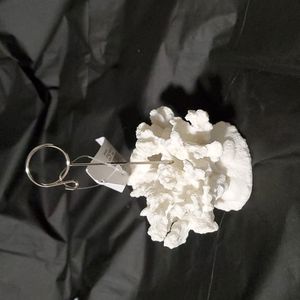 CORAL PICTURE HOLDER